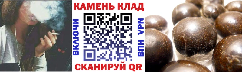 Где продают наркотики Сясьстрой Галлюциногенные грибы Меф Alpha-PVP Гашиш МАРИХУАНА