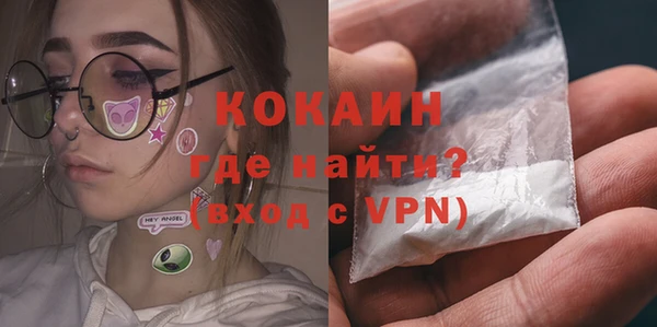 индика Алексеевка