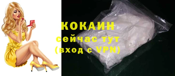шишки Абаза