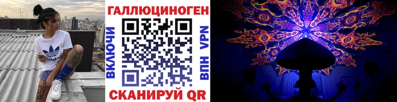 Псилоцибиновые грибы Psilocybe  где можно купить   Сясьстрой 